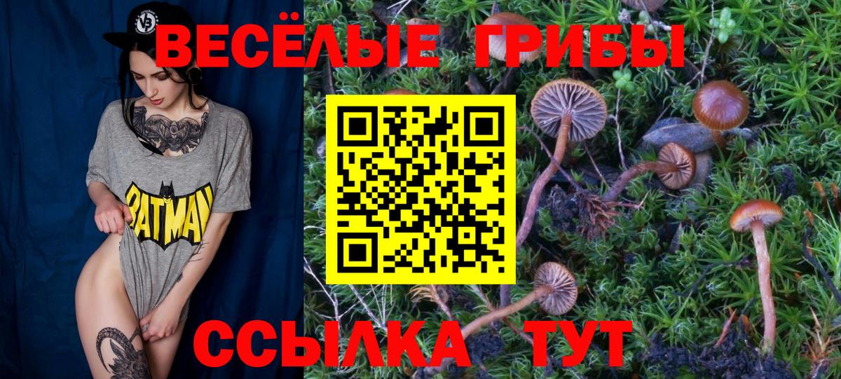 Галлюциногенные грибы ЛСД  Вход с VPN  Галлюциногенные грибы мицелий  где найти наркотики  Кропоткин 
