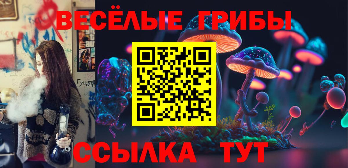 Псилоцибиновые грибы мицелий Кропоткин